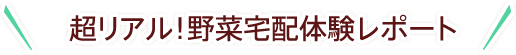 野菜の宅配、口コミレポート