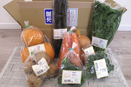 おーがにっくがーでんの通販野菜セット