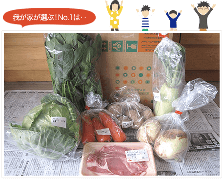 野菜の宅配レポ、実際に通販した野菜を口コミランキング!