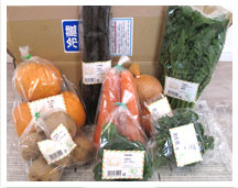 おーがにっくがーでんの通販野菜セット