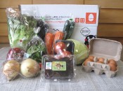 九州野菜王国の野菜セット