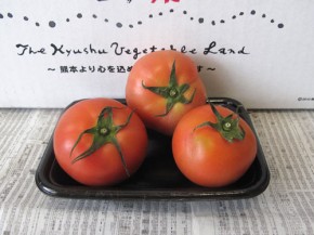 トマト（九州野菜王国）