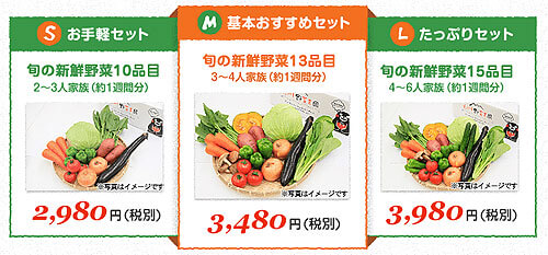 九州野菜王国の野菜セット